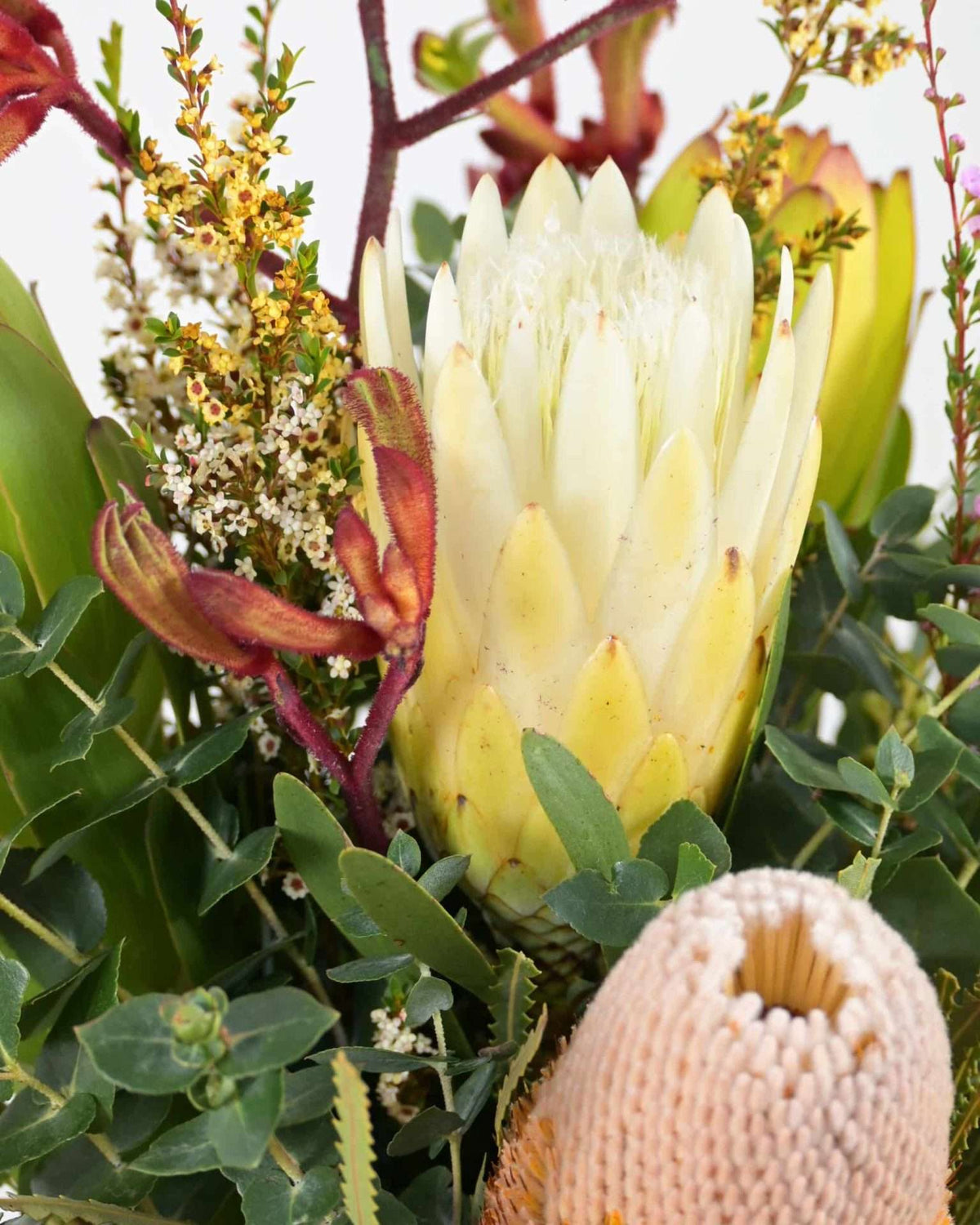 Native Posy — Sisu Flower