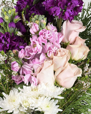 Violet Dreams — Sisu Flower