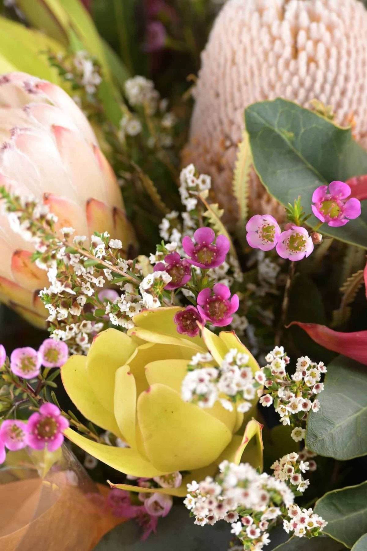 Hope — Sisu Flower